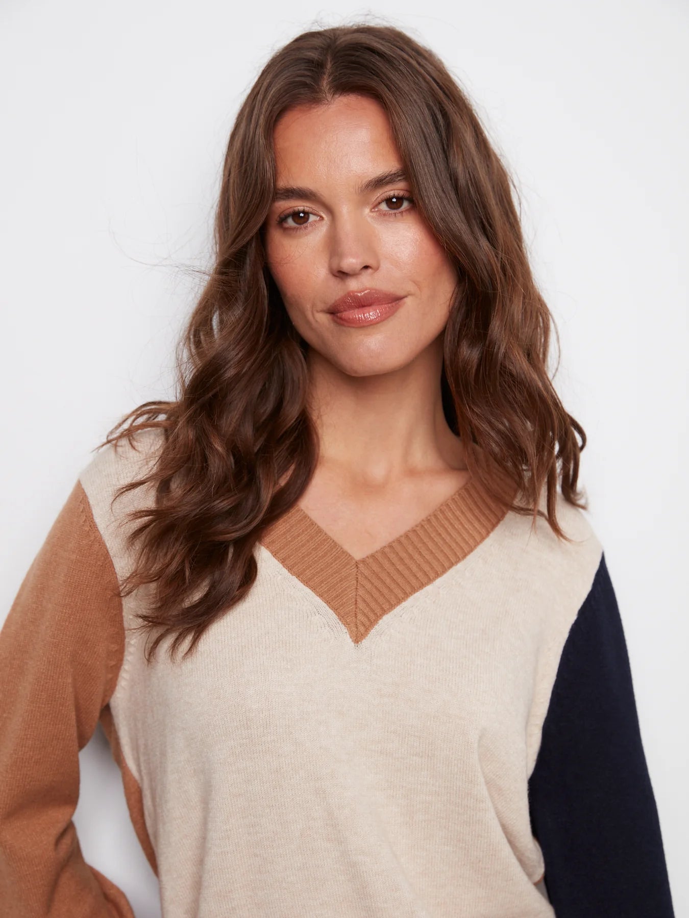 CHARLIE B COLORBLOCK V-NECK SWEATER - TRUFFLE